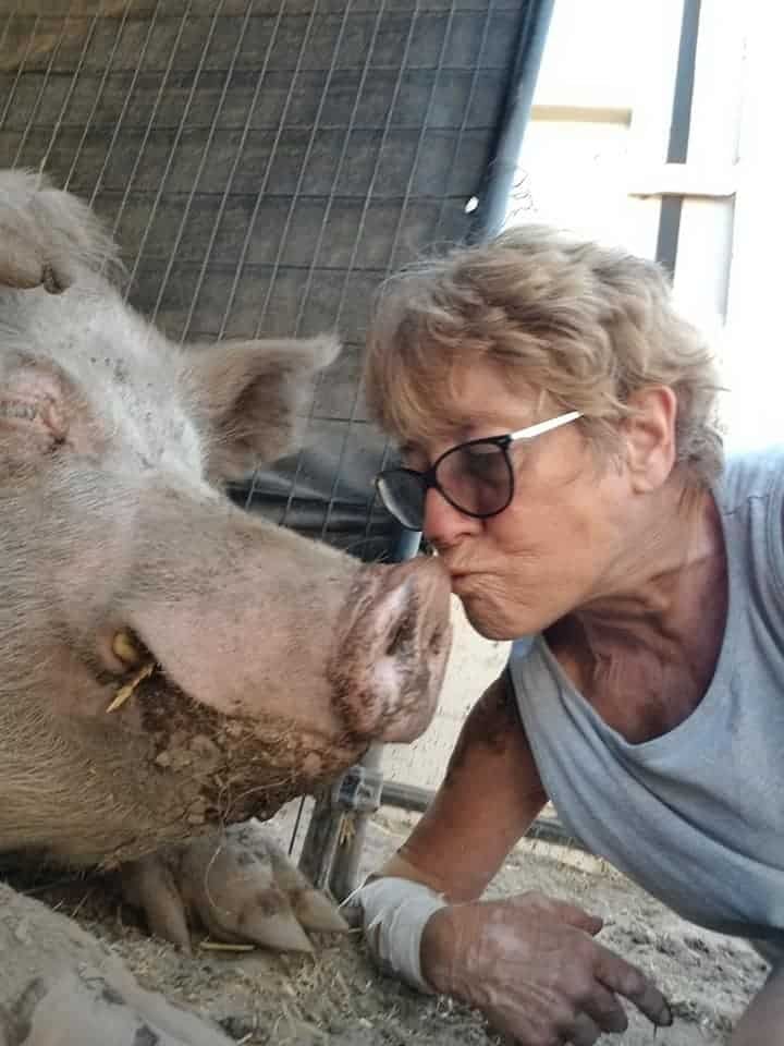 Sue Kissing a Pig